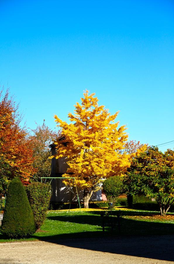 Chateau De Montabert Montaulin Exterior photo